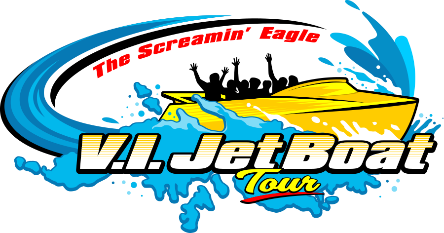 https://chartlocal.com/wp-content/uploads/2021/02/vi-jet-boat-logo.png